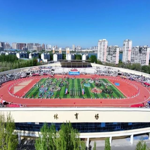 足球杯赛焦点对决:阵容深度透析与胜负预测